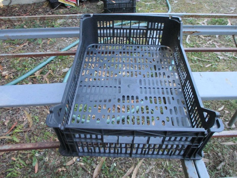 caixas de plastico