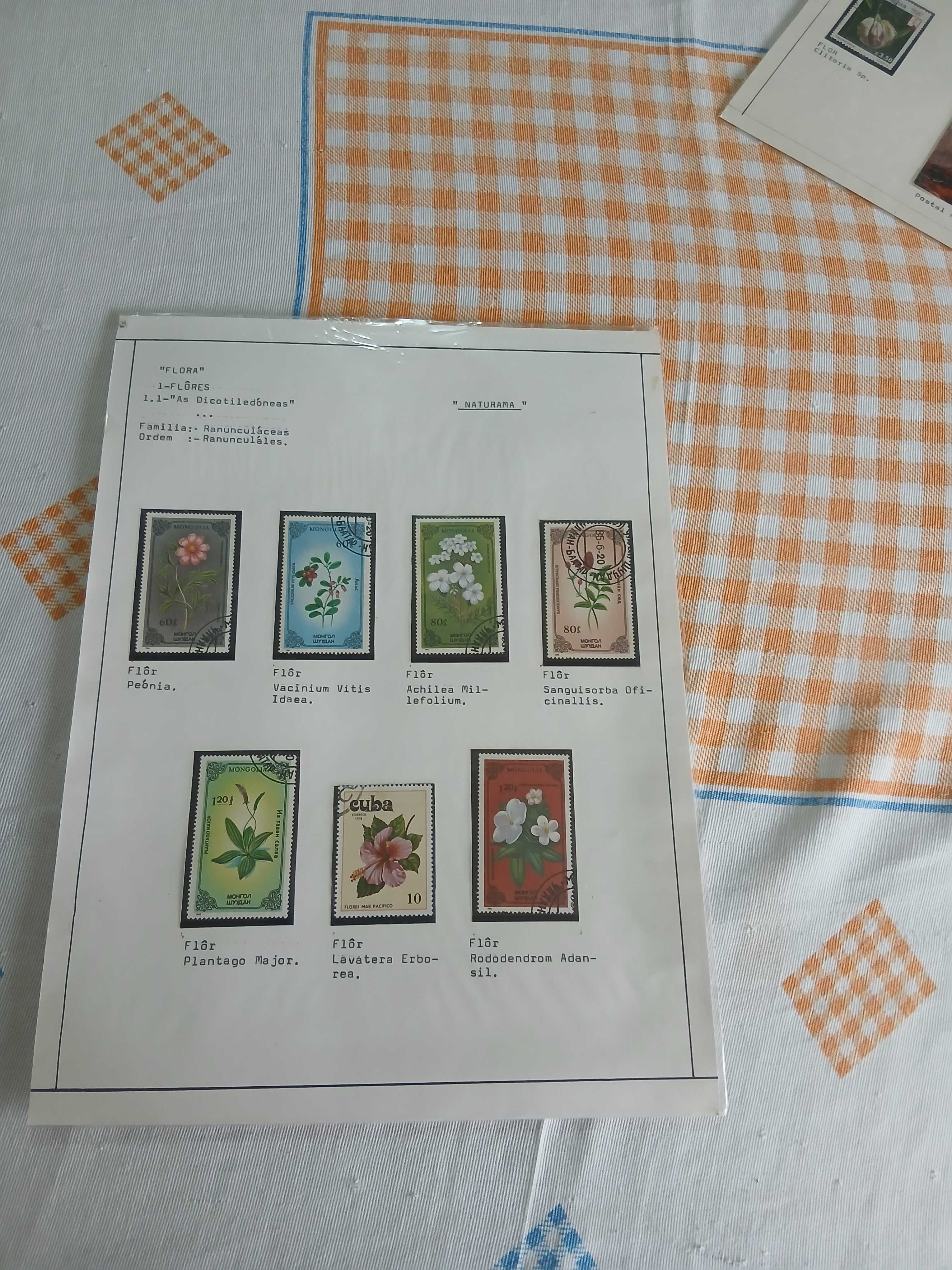 Selos usados e postais antigos