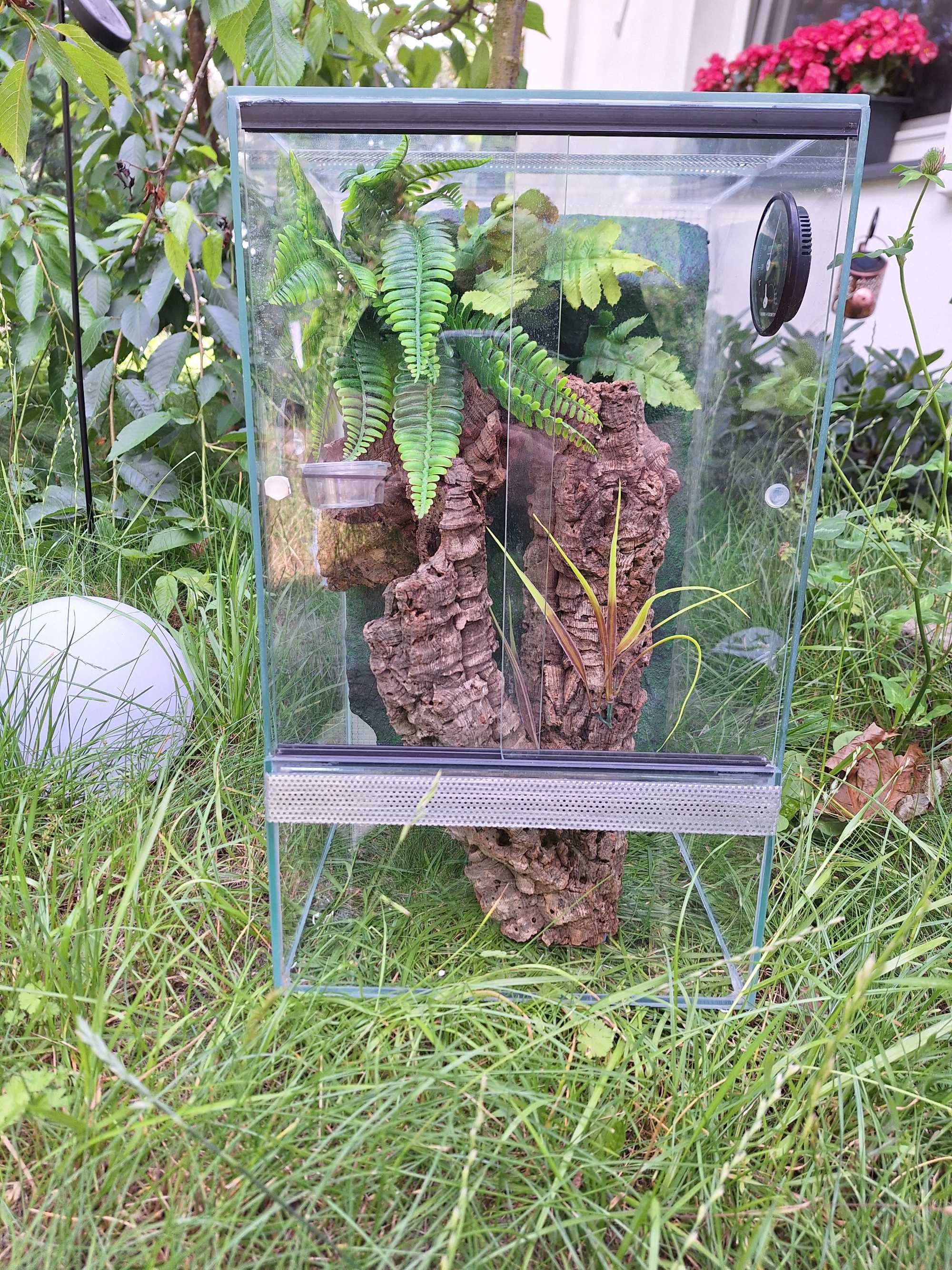 Terrarium szklane ze ścianką