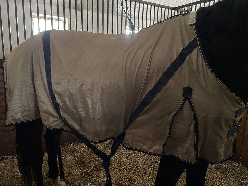 Derka siatkowa Global przeciwowadowa 155cm