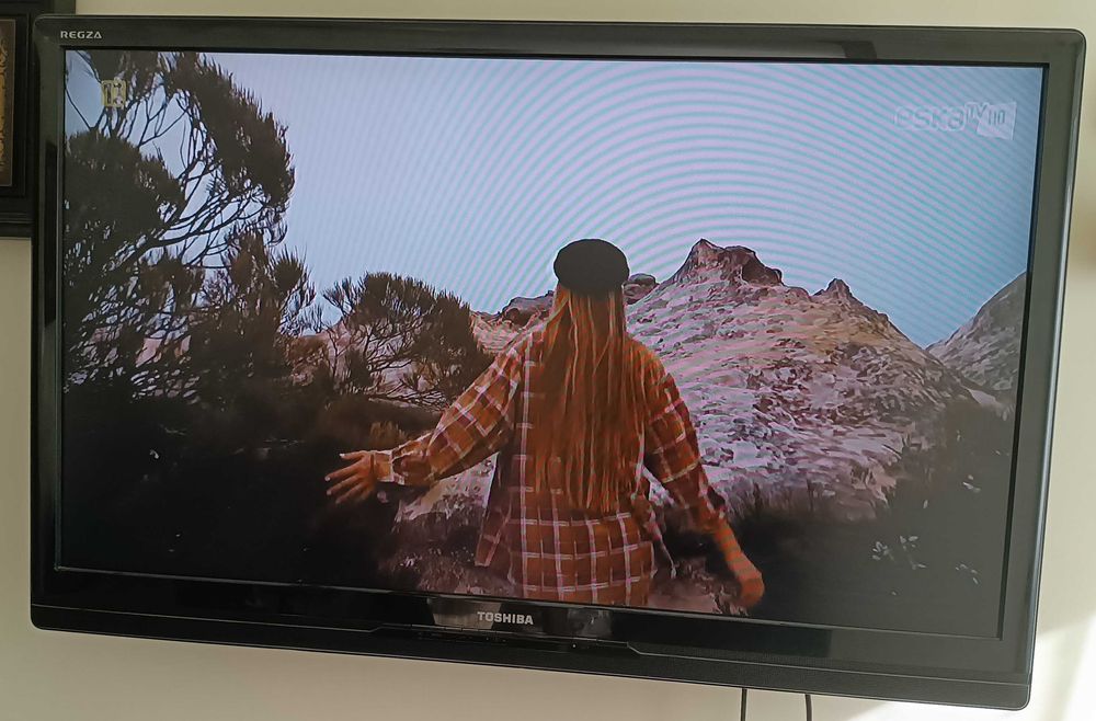 Telewizor Monitor Toshiba 40 Cali Duży Płaski