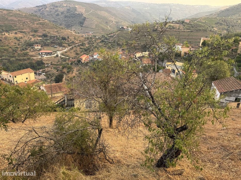 Quinta S. João da Pesqueira
