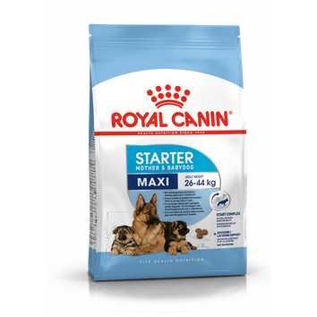 Royal Canin STARTER- Mini, Medium, Maxi & Giant - PORTES GRÁTIS