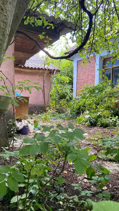 Будинок у с.Цибулівка