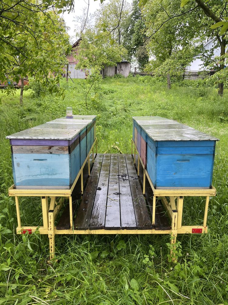 Продам бджолопавільйон