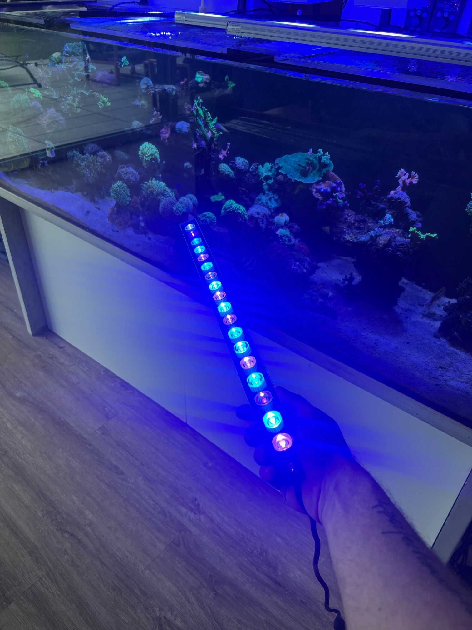 Led Bar do Akwarium Morskiego Belka UV Blue + Ściemniacz i Timer 55cm