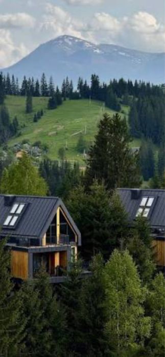 Скогур skogur Віп котедж преміум класу в районі Буковелю