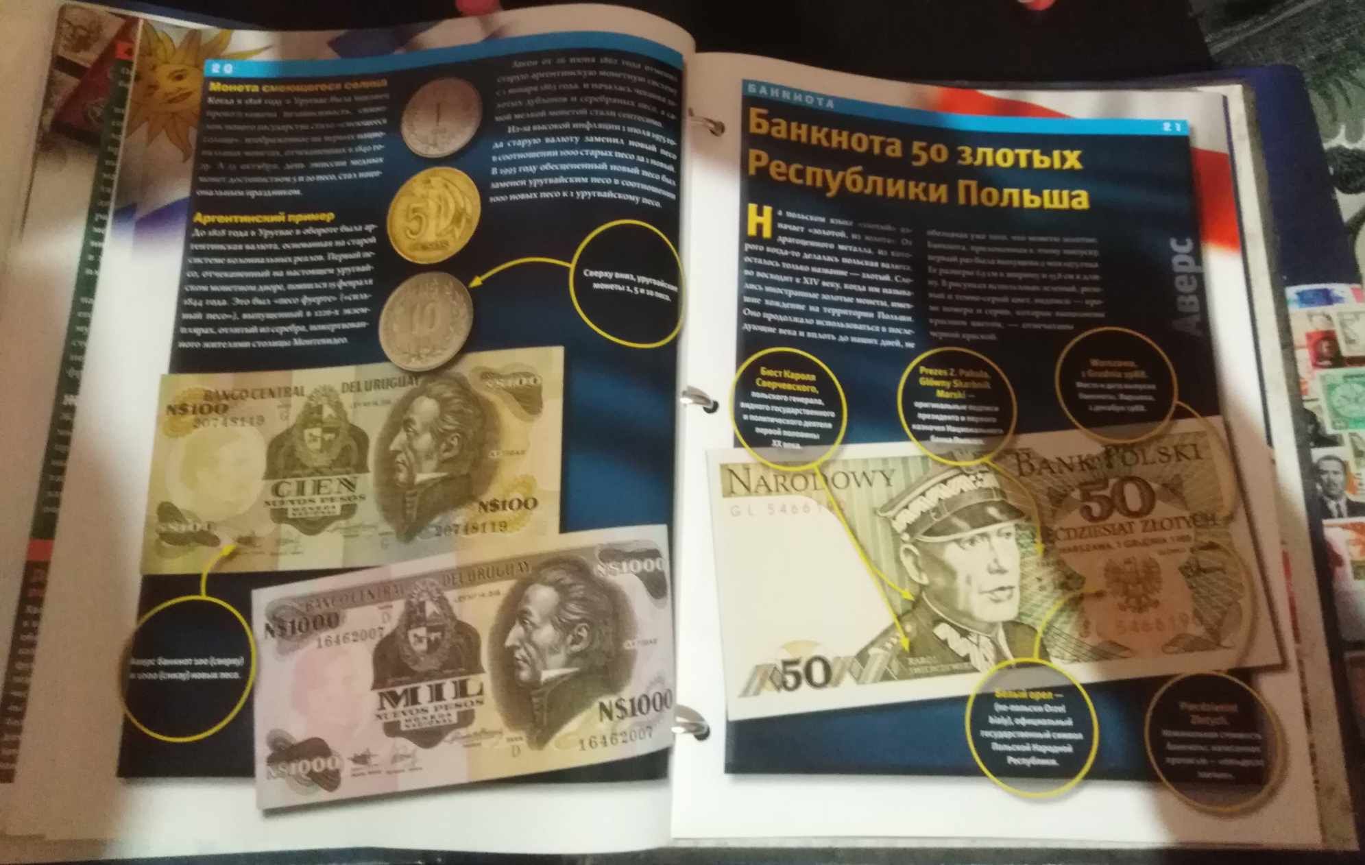 монети і банкноти