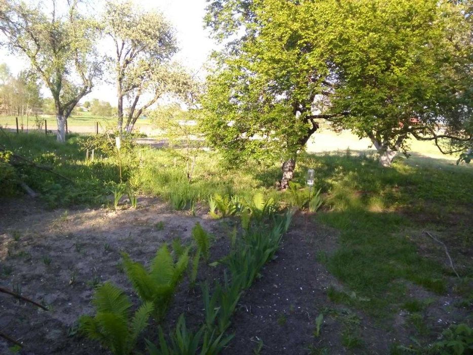 Продам будинок Нижча Дубечня Вишгородський