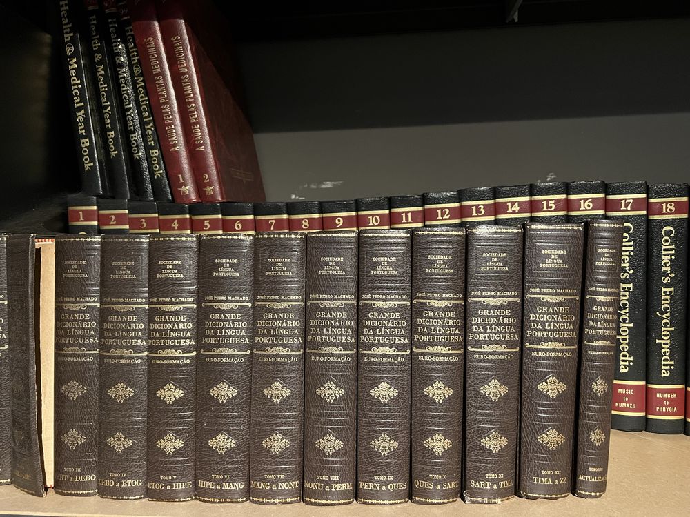 Colecao grande dicionario lingua Portuguesa
