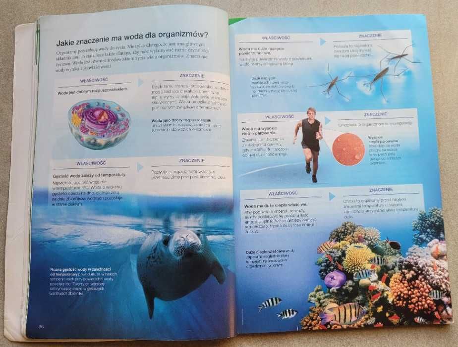 Biologia na czasie 1, podręcznik, zakres podstawowy, Nowa Era 2019