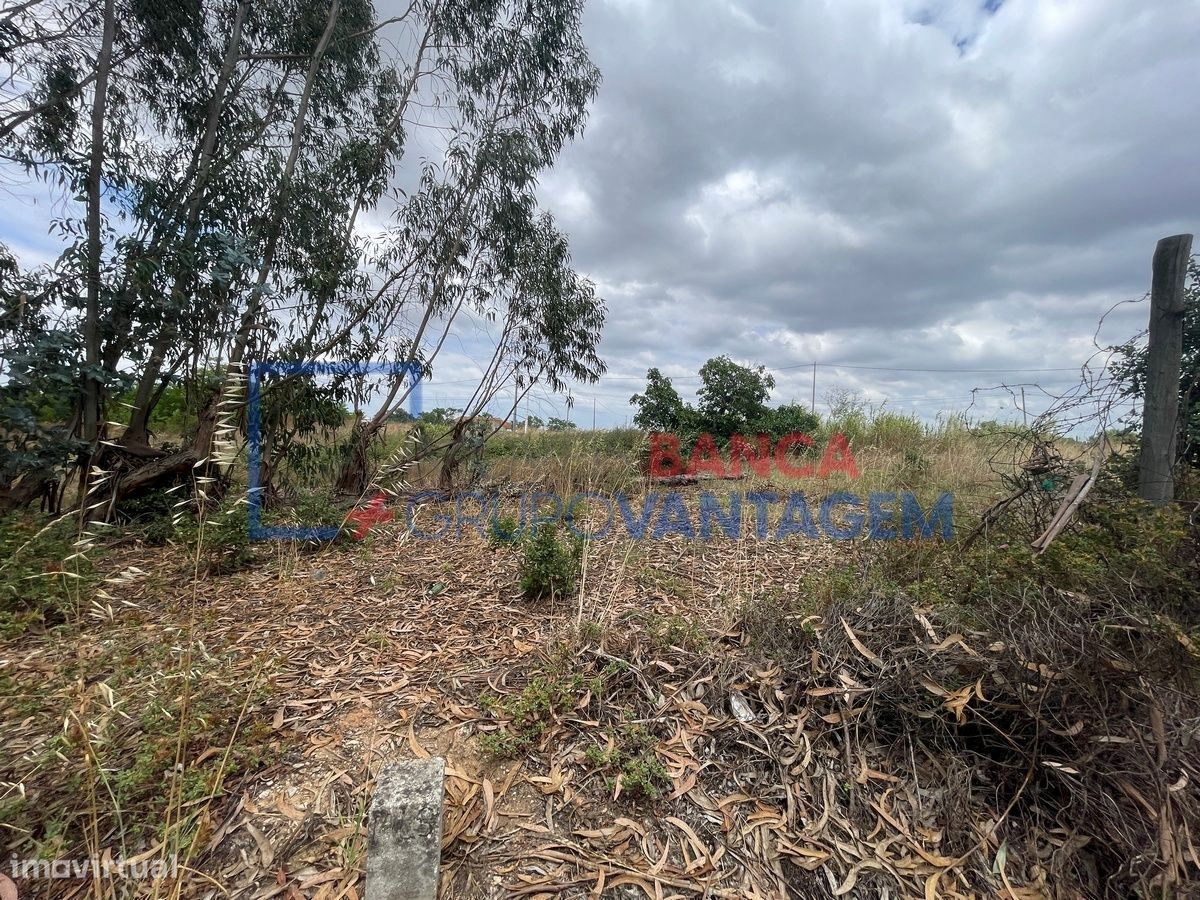 Terreno Rústico com 16.040m2 para construção na Moita