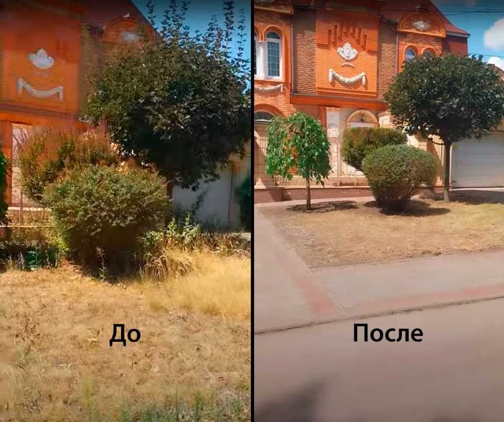 Комплексная уборка участков — покос травы, спил деревьев, вывоз.