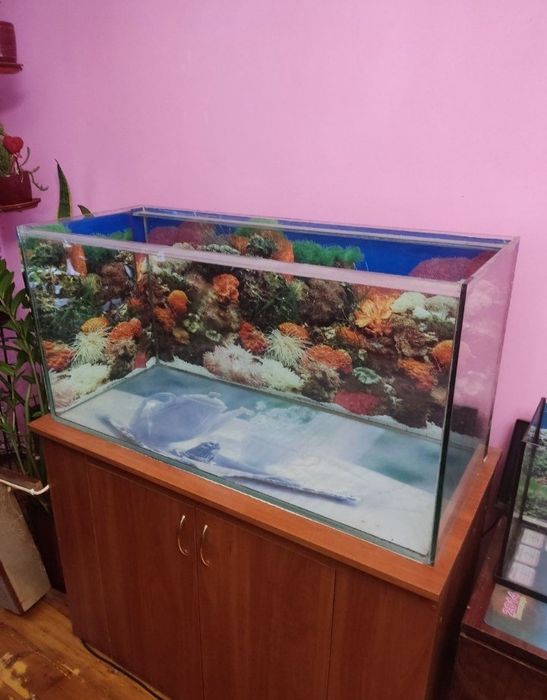 Продам акваріум 200 л