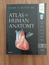 Atlas de Anatomia Netter