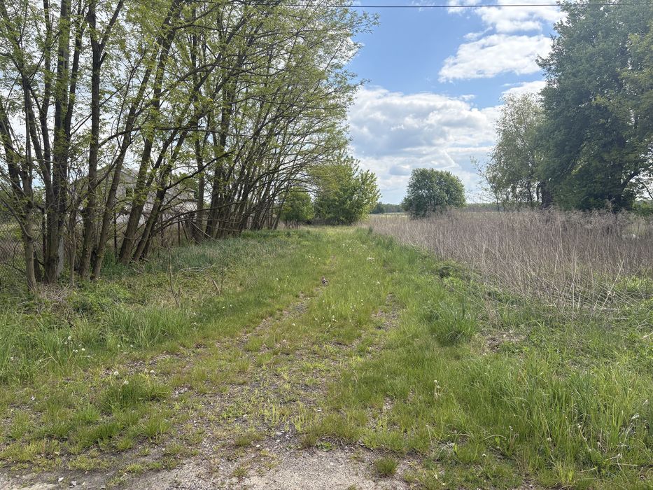 Działka budowlana 3089 m² – Bronisławów, Gmina Głowno