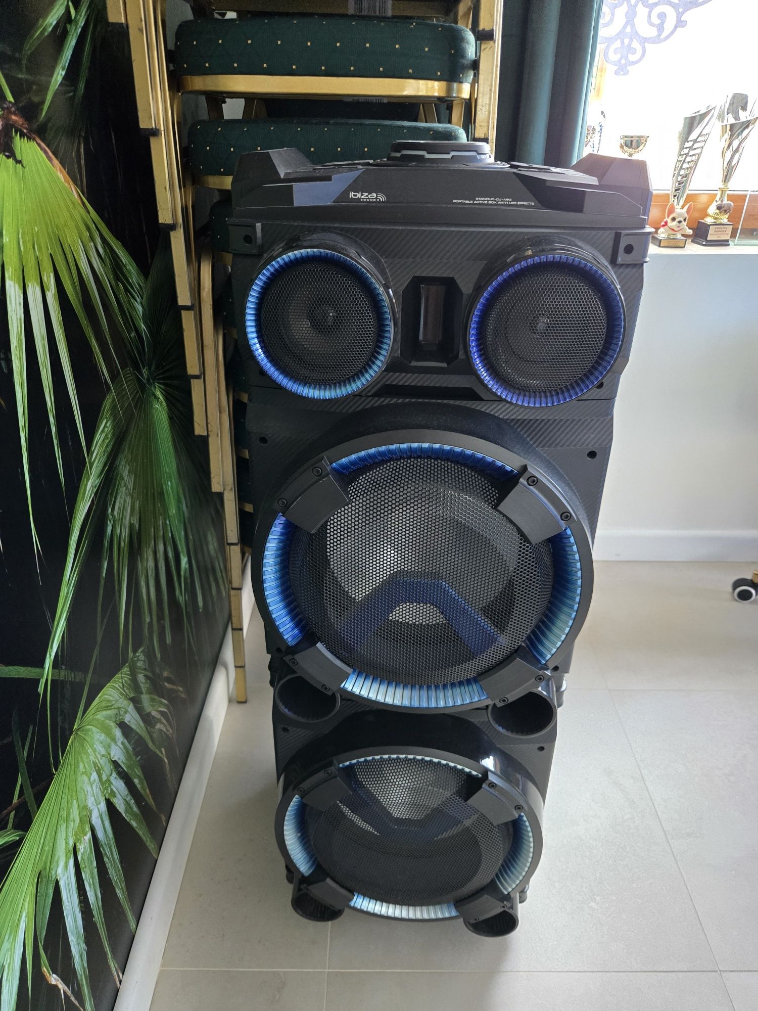 Mobilna kolumna z LED Ibiza STANDUP-DJ-MKII akumulator