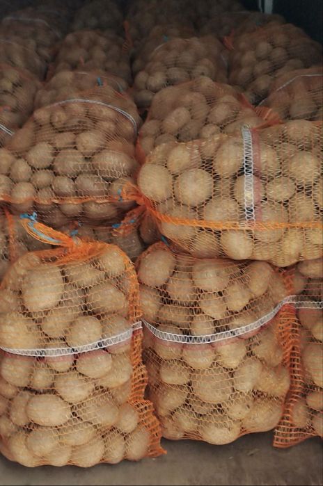 Ziemniaki Queen Anna, Soraya, Wineta