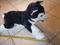 Wilk wilczek husky pluszak Ikea jak nowy jak żywy duży ok 65 cm miękki