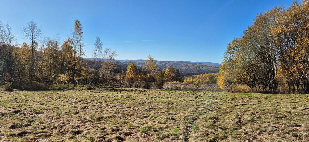 Widokowa działka w  Bliziance 59 arów