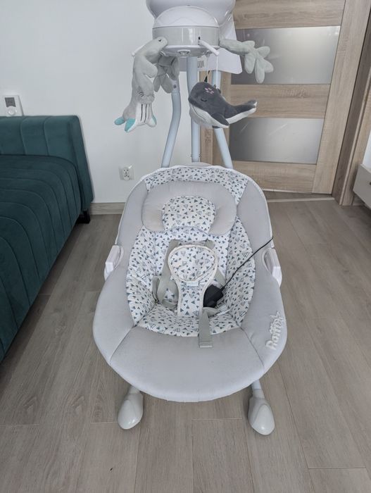 Caretro rafii grey