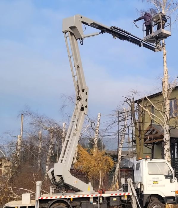 Wycinka drzew trudnych podnośnik koszowy