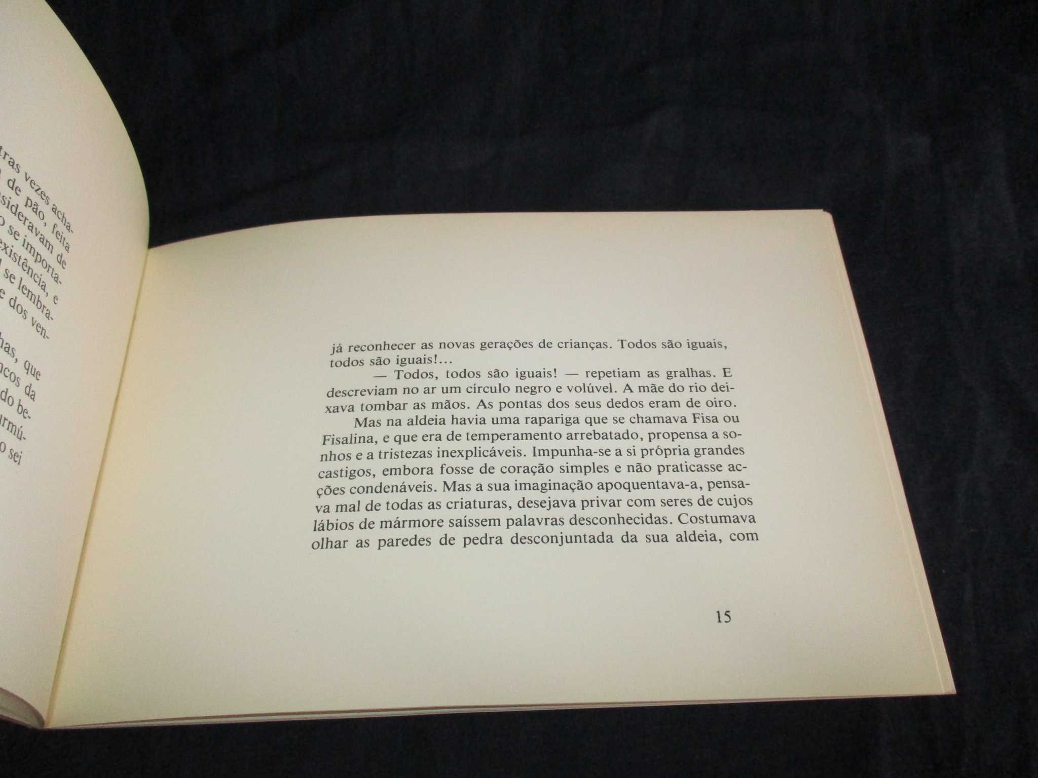 Livro A Mãe de um Rio Agustina Bessa-Luís 1ª edição