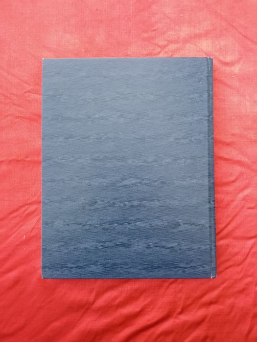 Guerra de África Guiné