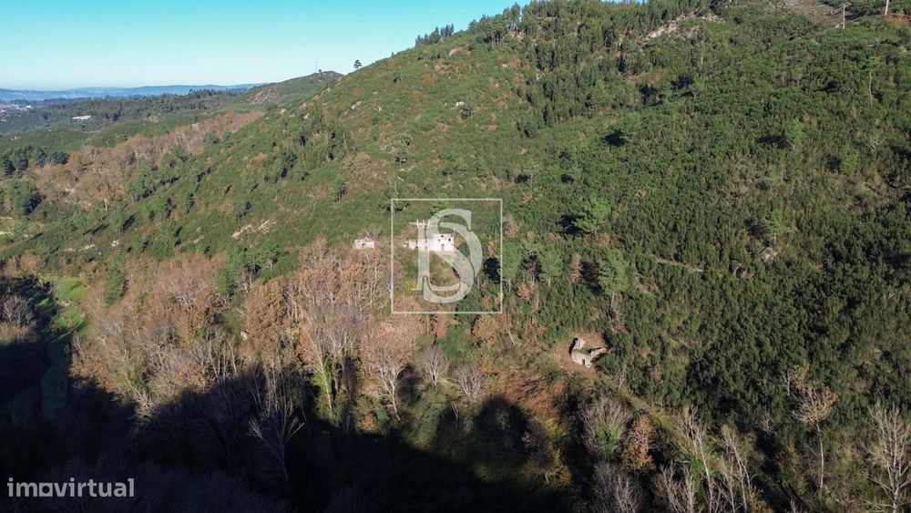 Quinta em Bustelo - Amarante