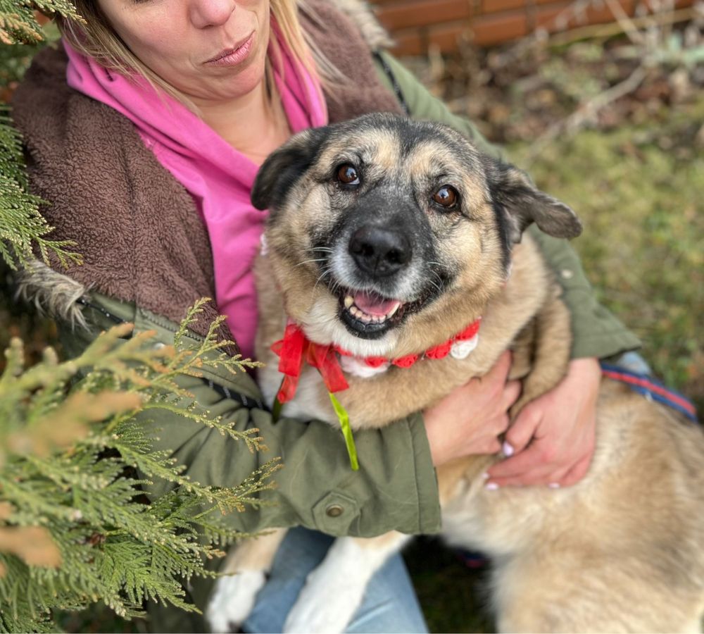 Całe życie ludzie ją zawodzą. Co będzie dalej? Do adopcji