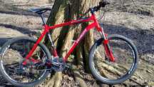 Rower Specialized, rama 21", koła 26"