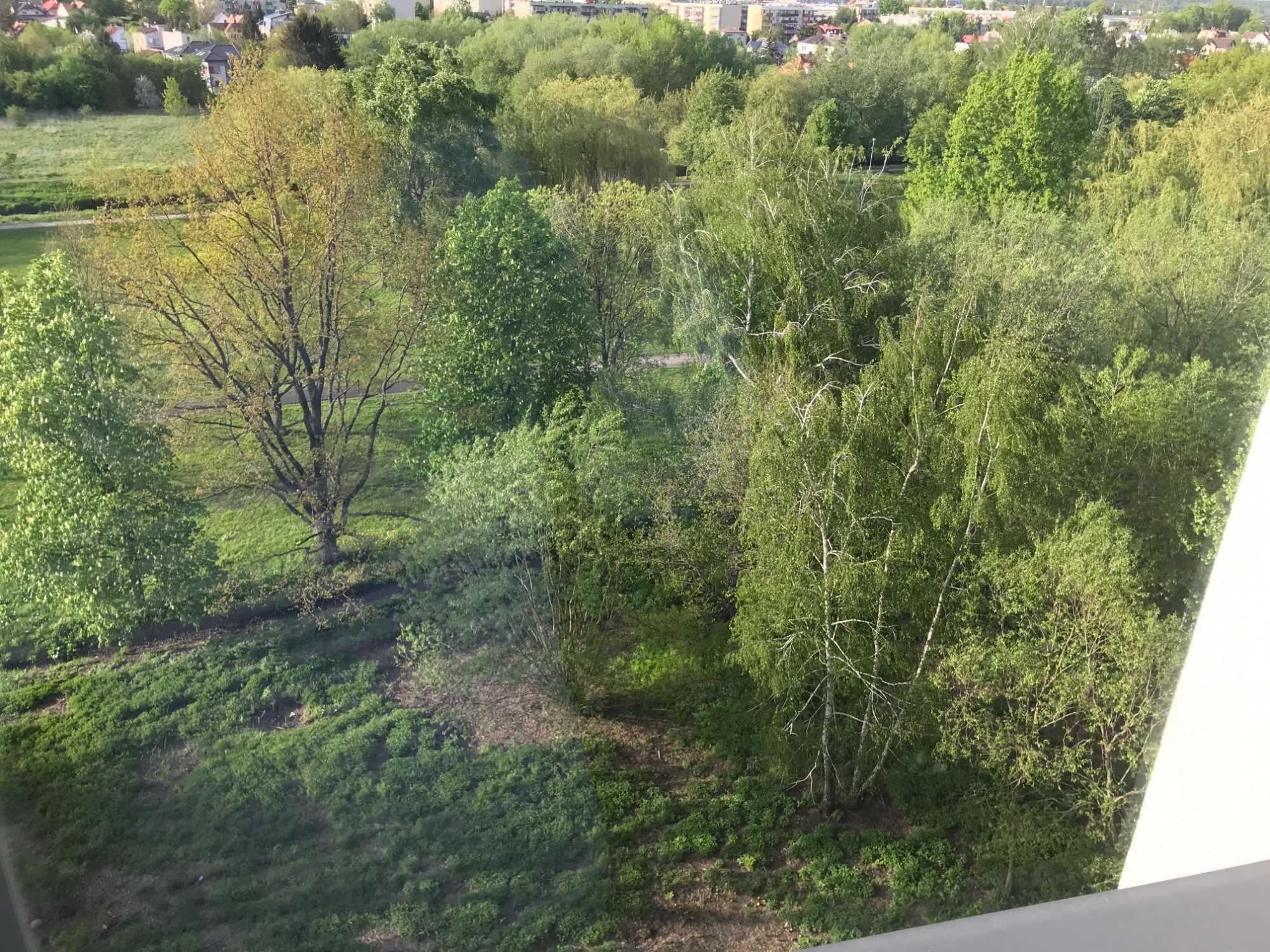 Do wynajęcia pokój (10.89 m2) ul. Jana Pawła 56b