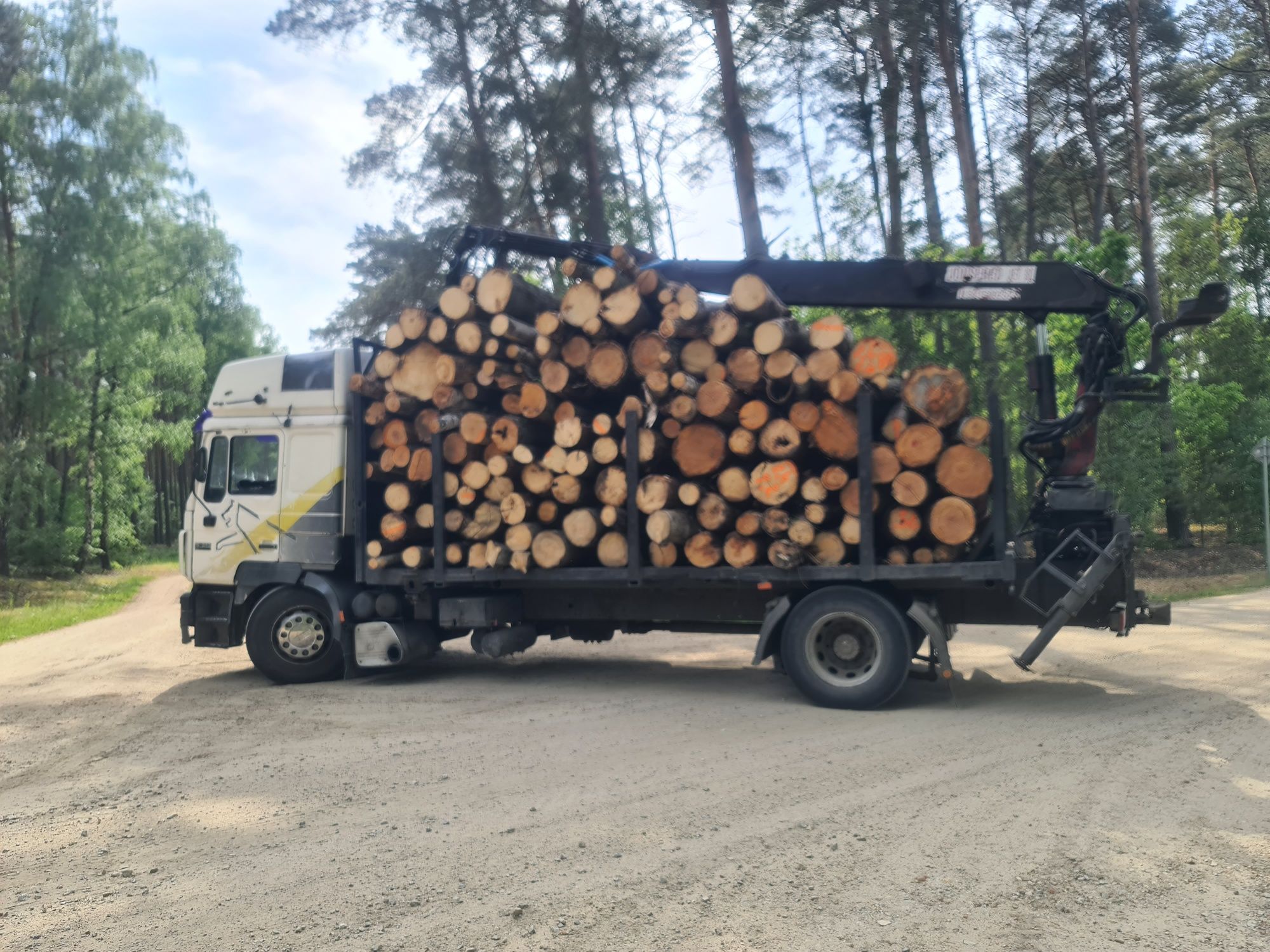 Transport Drewna z Lasu Chodzież Budzyń Margonin