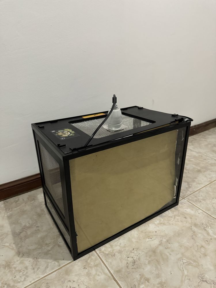 Terrario para repteis