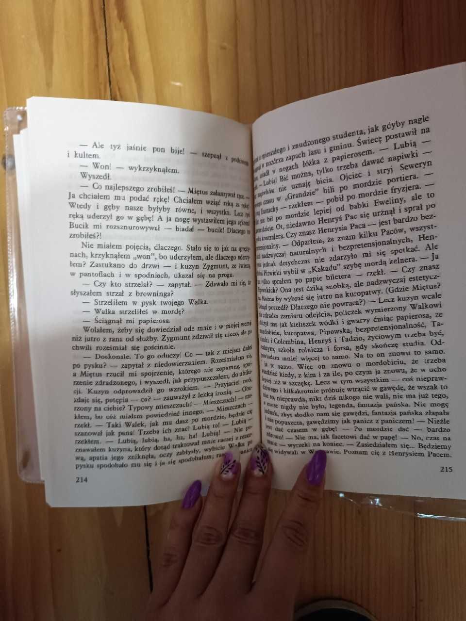 Ferdydurke Witold Gombrowicz