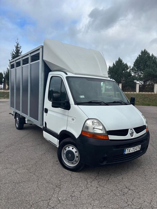 Renault master do przewozu zwierząt bydła