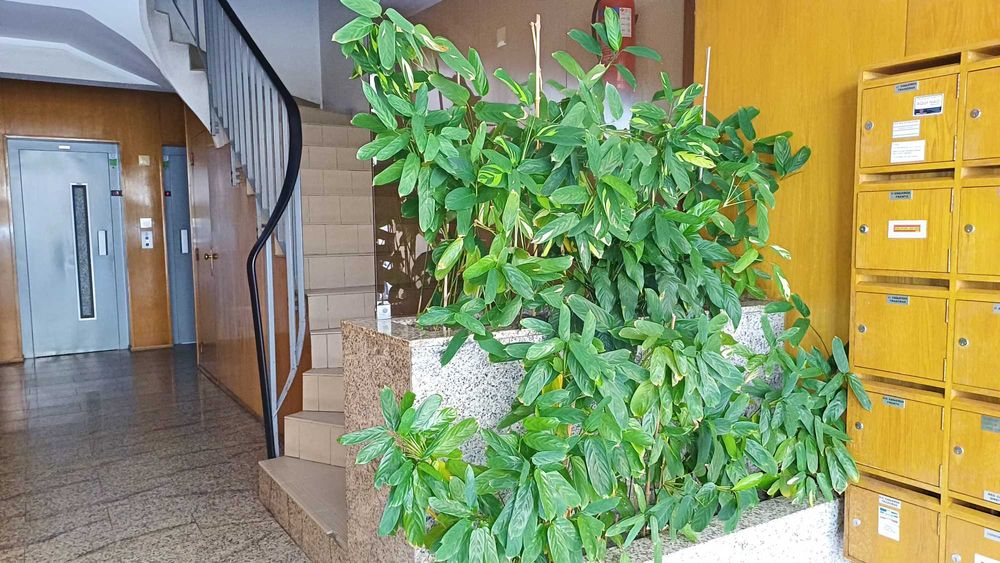 Apartamento T1 usado• Rés do Chão Elevado • 65 m² • Vila Nova de Gaia