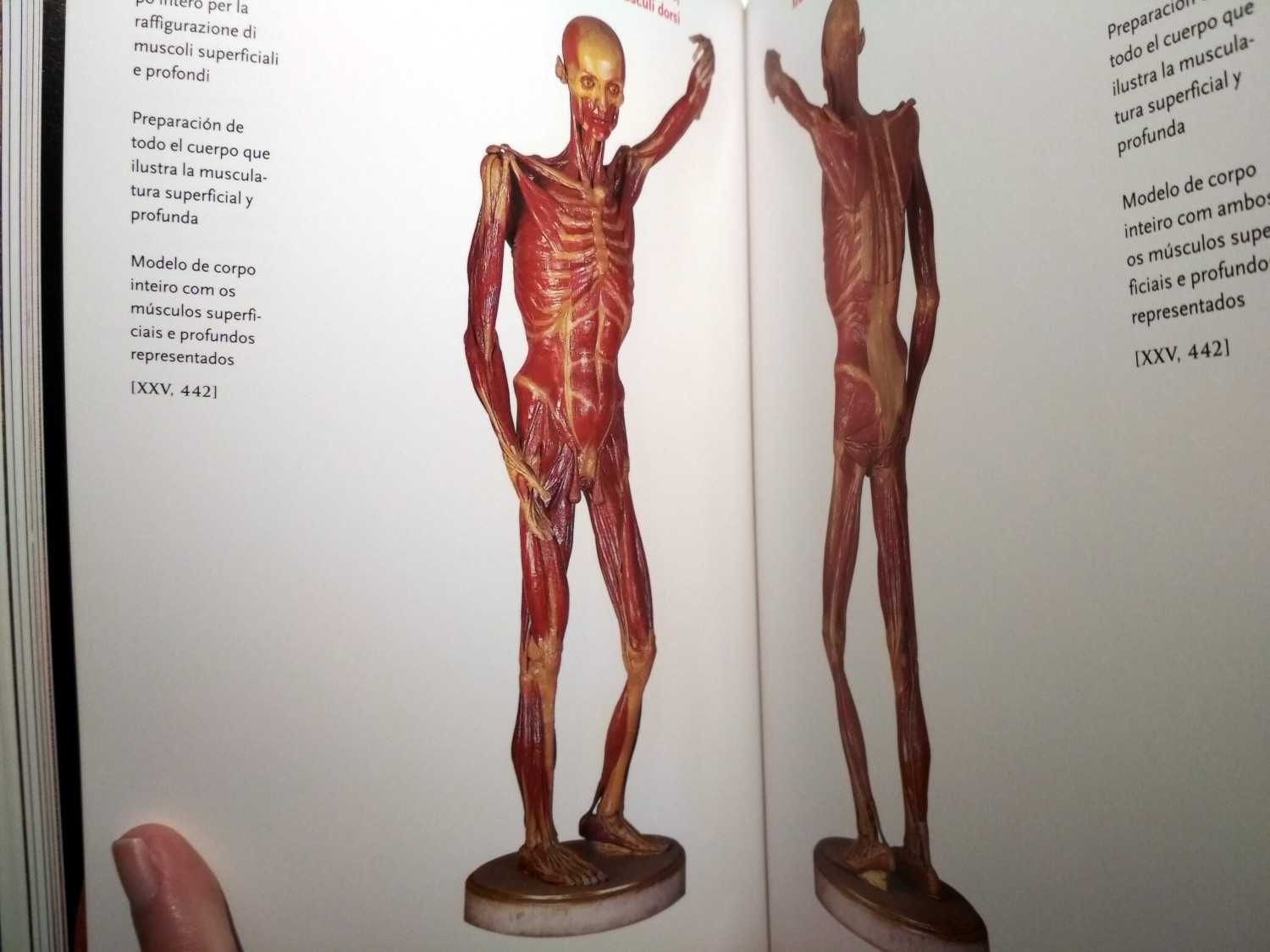 Encyclopaedia Anatomica - Taschen (porte incluído)