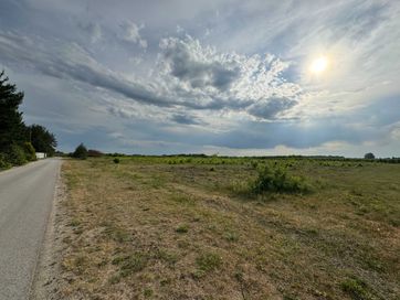 Sprzedam działkę o pow. 3,9 ha w gm. Tarczyn