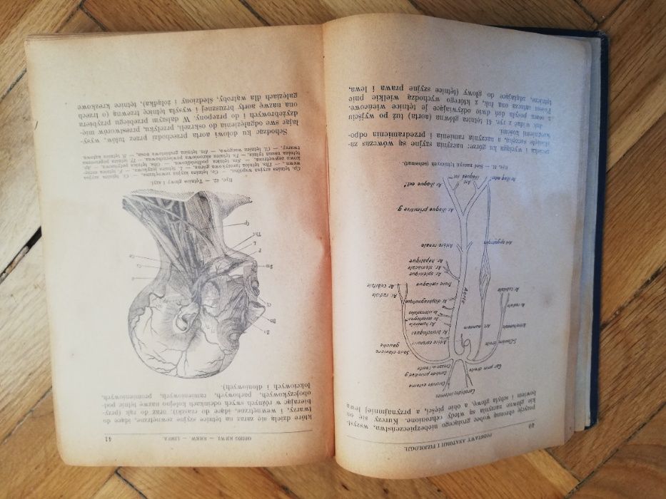 podręcznik Pielęgnowania chorych w szpitalach i w dom Vincq Chicandard