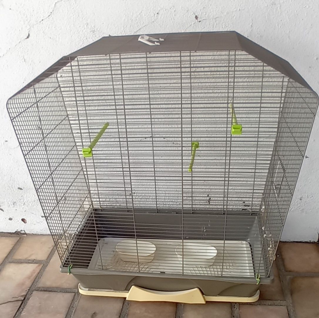 Casal de caturras e gaiola