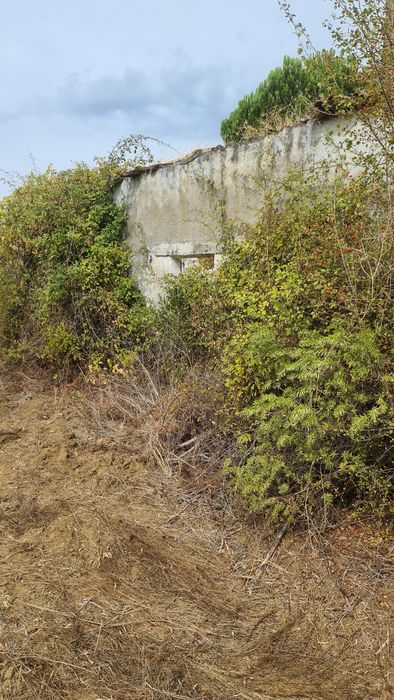 Terreno em valhascos Sardoal