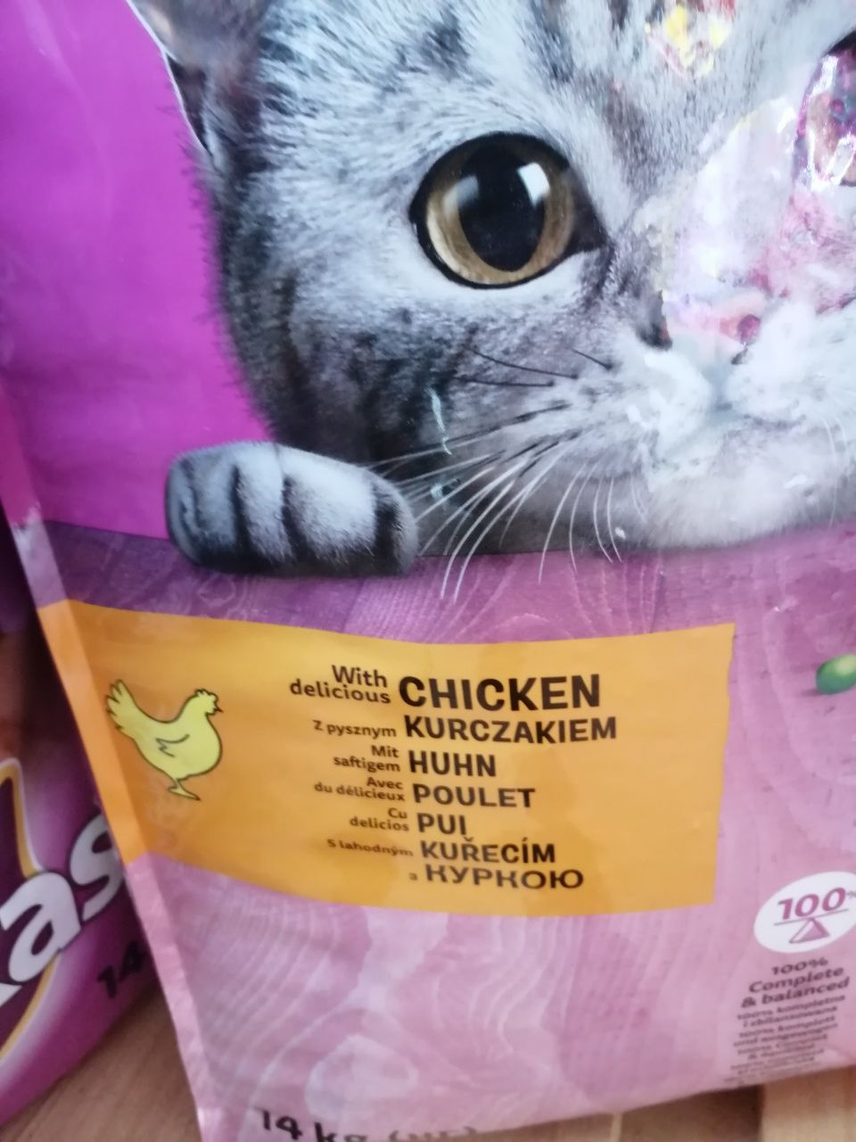 Whiskas 1kg różne smaki Karmą dla kota Jastków Karma