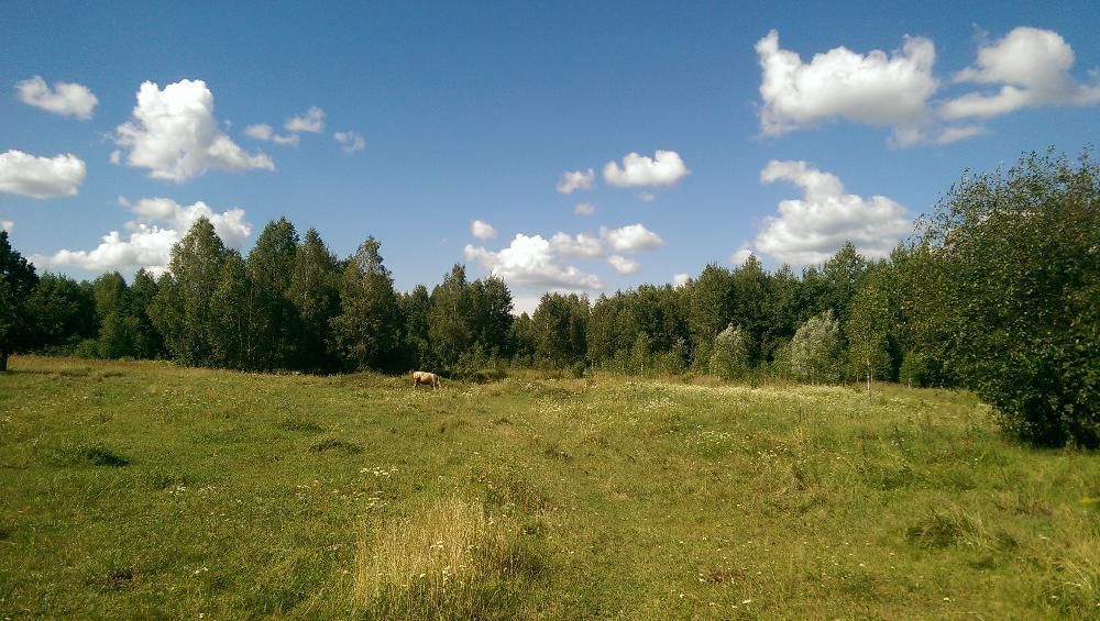 Участок со своим озером ,с.Андреевка,Вышгородский р-н.Киевская обл.