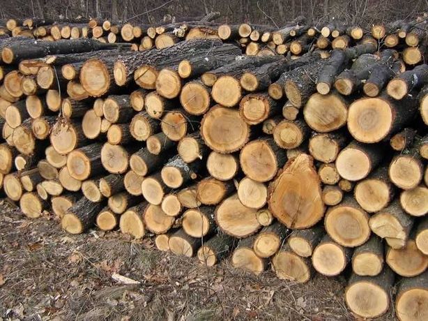 Дрова, дрова дуб, дрова ясень, дрова колотые, Акация