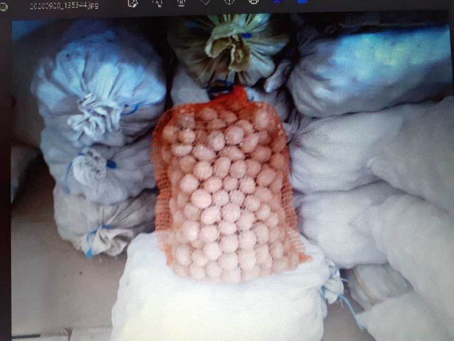 Ziemniaki vineta odpadowe