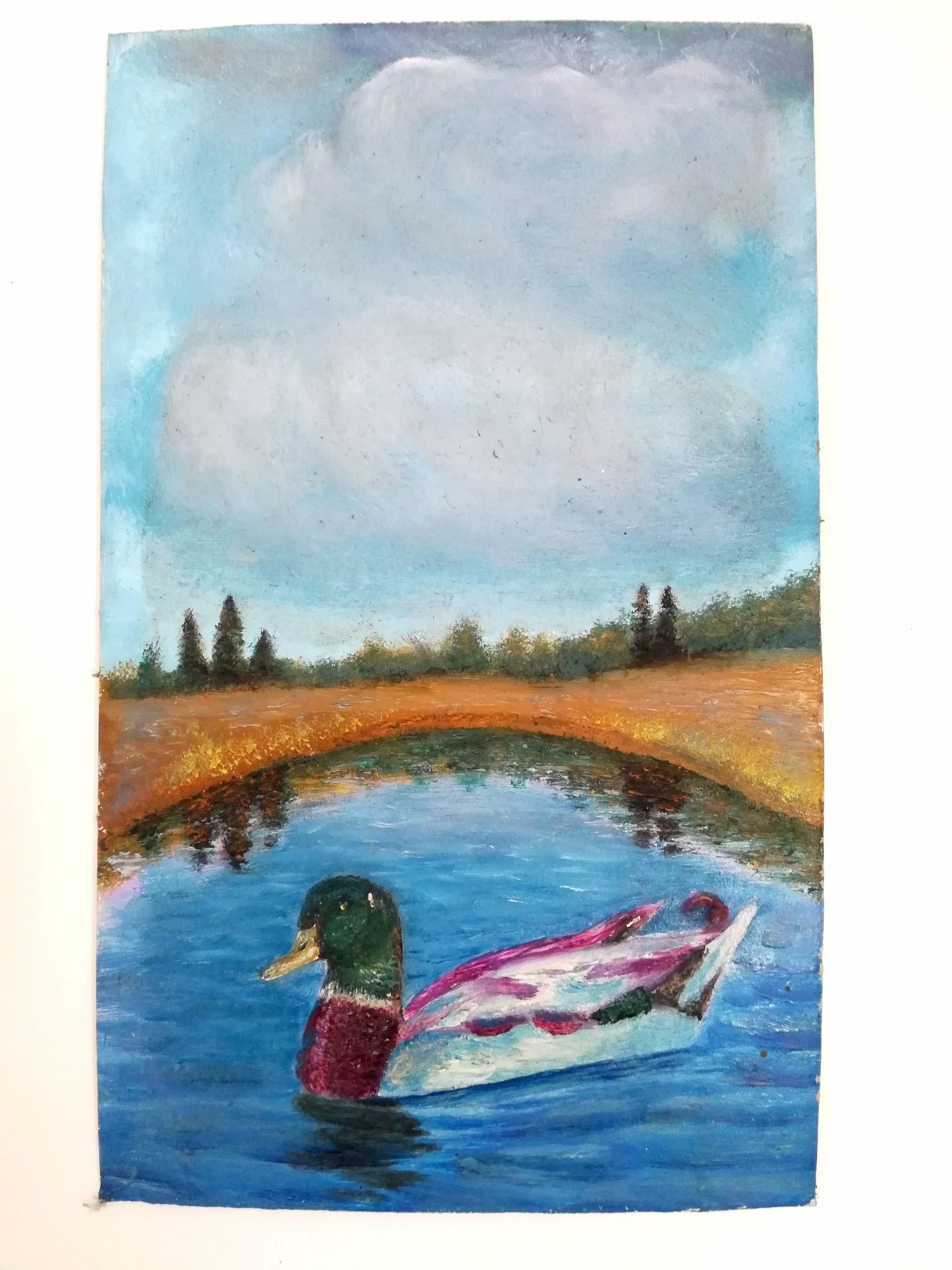 Quadro Pato no lago 4 €