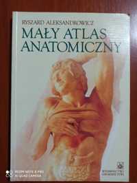 Mały atlas anatomiczny