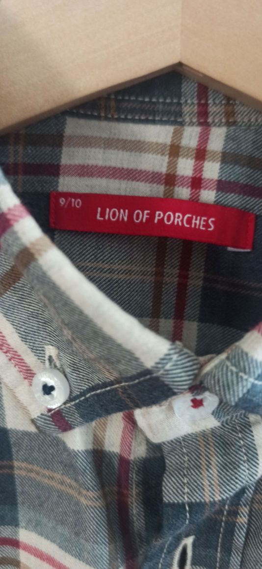 Camisa rapaz 9-10 anos Lion of Porches