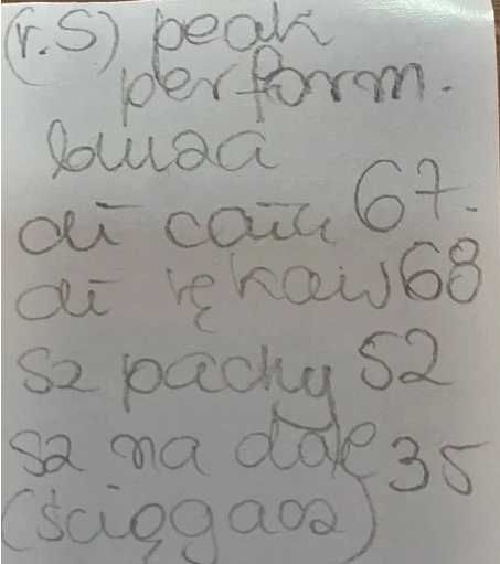 S 36 38 m peak the performance bluza granat oryginał